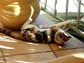 Caramel 08-04 045